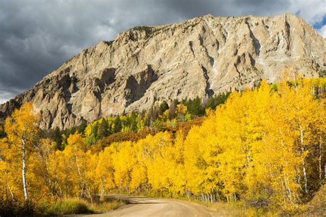 5 Best Fall Foliage Drives Near Crested Butte