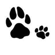 Dogs usually (but not always) show claw marks in their tracks. 10 best images about Stencils on Pinterest | How to draw ...