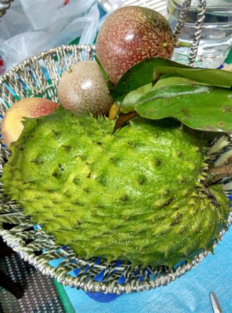 Although it may have some similarities in its external appearance to a durian, it is very unlike the durian both in taste, smell and the fruit inside. Warisan PESAGI: POKOK DURIAN BELANDA DI BELAKANG RUMAH