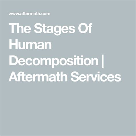The Stages Of Human Decomposition Aftermath Services Human