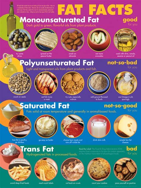 Starz Cafeteria Understanding Fats Saturated Fats Bad Fats Vs