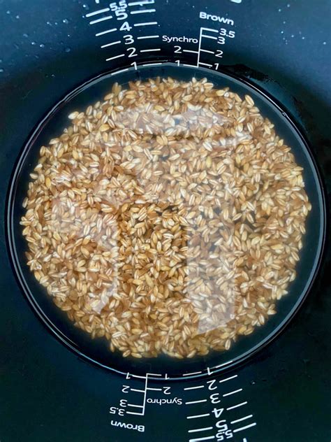 How To Cook Farro In A Rice Cooker Everyday Homemade