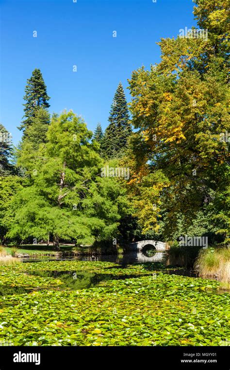 Ornamental Lake And Bridge In The Botanical Gardens Known As Queenstown