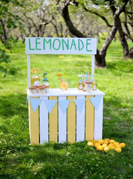6720 lemonade stand in the field printed backdrop backdrop outlet