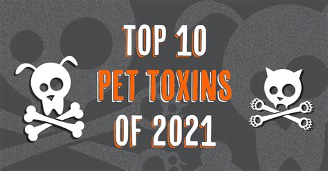 The Top 10 Pet Toxins Of 2021 ASPCA