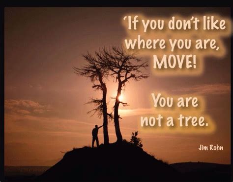 If You Dont Like Where You Are Move Youre Not A Tree How To