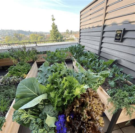Situated by the winooski river in burlington, gardener's supply company is the place to be for finding everything. Gardener's Supply Company | PowerReviews