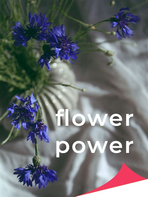 Flower Power Be Momentful