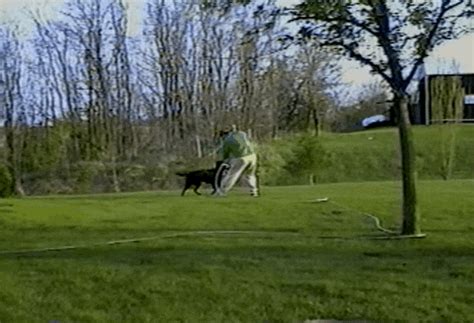 When your check is stolen and cashed, you can usually get your money back, but this will depend on the results of the bank's investigation. Dog With Hose Realizes He Has All The Power Now