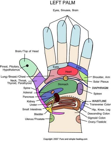 Hand Reflexology Chart Hand Reflexology Reflexology Hand