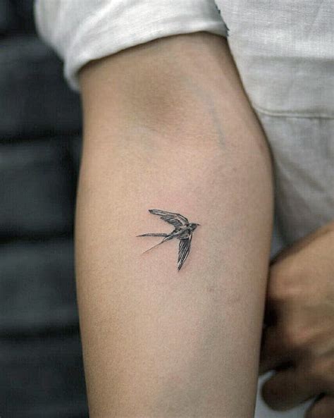220 Swallow Tattoos Designs With Meaning 2023 Tattoosboygirl In
