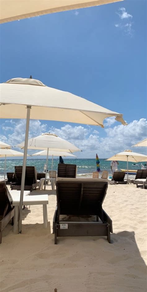 Kool Beach Club Playa Del Carmen 2019 Qué Saber Antes De Ir Lo Más Comentado Por La Gente