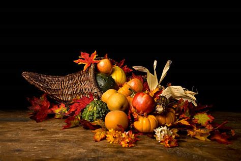 10800 Cornucopia Stock Photos Pictures And Royalty Free Images Istock