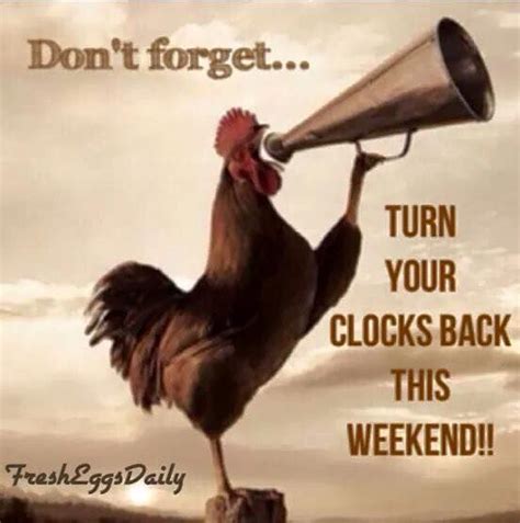 Turn Your Clocks Back This Weekend Fall Back Time Change Turn Ons
