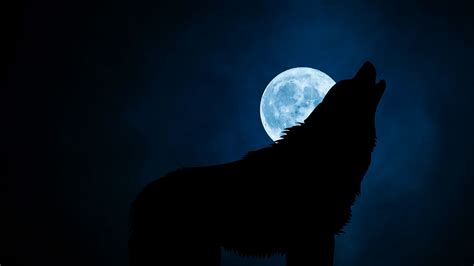 Download Wallpaper 1920x1080 Wolf Silhouette Moon Night Full Hd