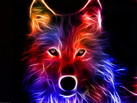 Neon Animal Wallpapper Download Neon Animals Wallpapers Top Free