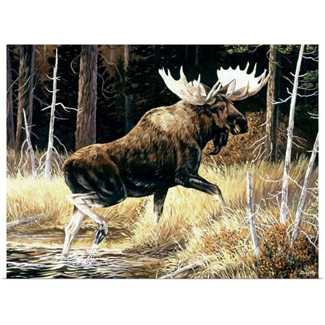 In a world of concrete and computers, the serene beauty and wonders of nature have the unique power to calm, heal. Moose Poster Art Print, Wildlife Home Decor | eBay
