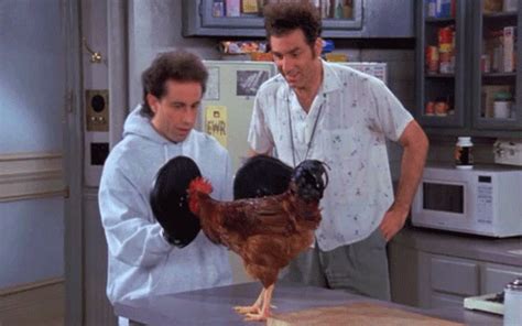 Mrw I M Trying To Teach Little Jerry Seinfeld How To Cock Fight  On Imgur