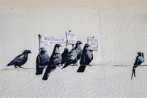 Aerohaveno Review The Art Of Banksy