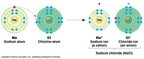1quiz Show The Ionic Bond In Potassium Chloridemagnesi