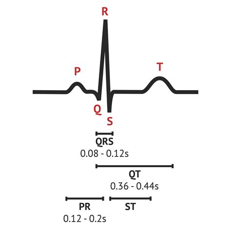 The Normal Ecg Trace Ecg Interpretation Medschool