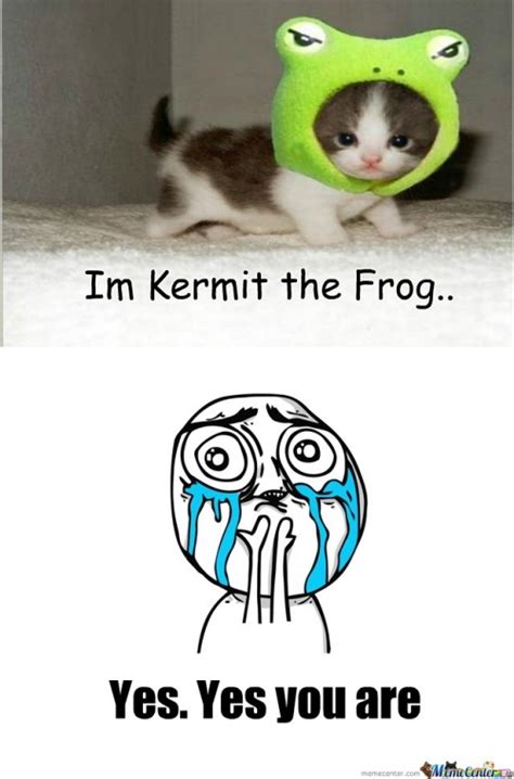 Kermit The Frog Memes Best Collection Of Funny Kermit The