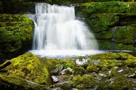 Waterfall Forest Moss Landscape Scenery Stock Photo Image Of
