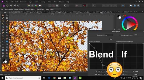 How To Remove Tree Background In Affinity Photo Youtube