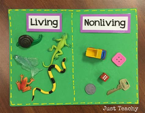 Identifying Living And Nonliving Things Kindergarten