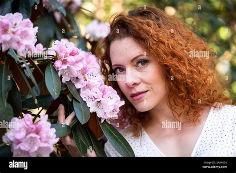 Red Hair Beauty Portrait Hi Res Stock Photography And Images Alamy