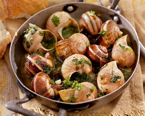 Escargot Description Snail Types Dangers And Serving And Cooking