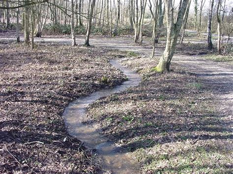 If you have standing water puddles in your backyard every time it rains, chances are that you have drainage problems. Backyard Drainage Solutions - Landscaping Network