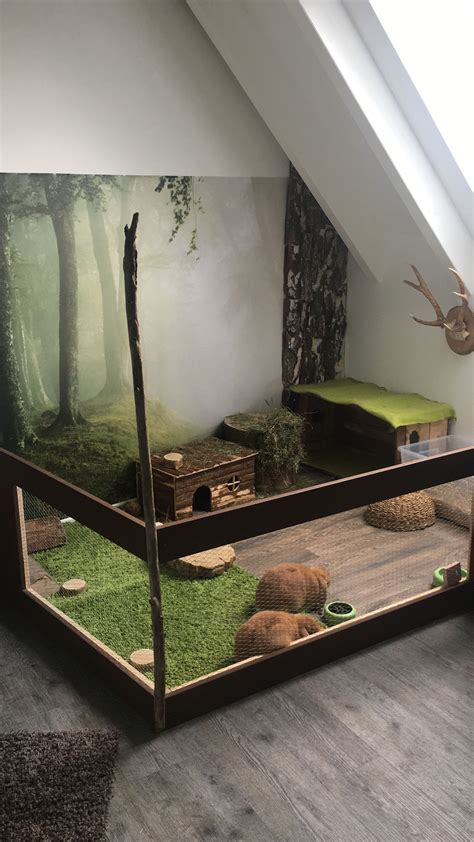 Custom Indoor Rabbit Enclosure At Gloria Comstock Blog