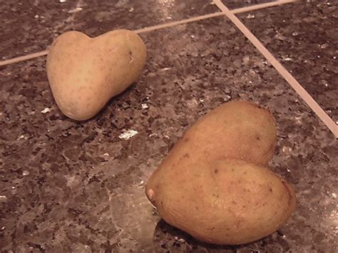 Potato Love A Photo On Flickriver