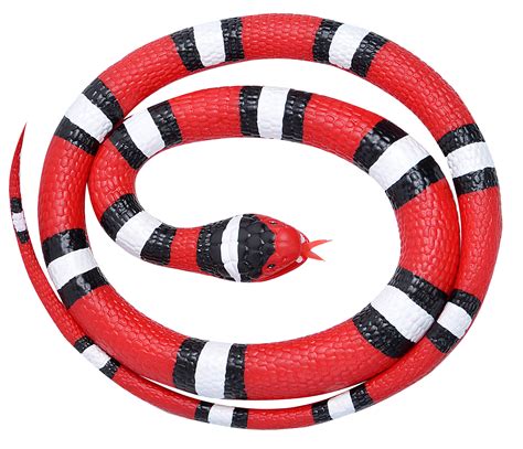 Rubber Snakes Archives Bizoo