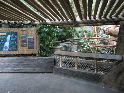Tropics Trail Ring Tailed And Red Ruffed Lemurs Exhibit Viewing Area