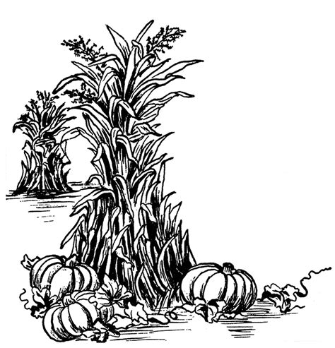 Free Fall Harvest Cliparts Download Free Fall Harvest Cliparts Png