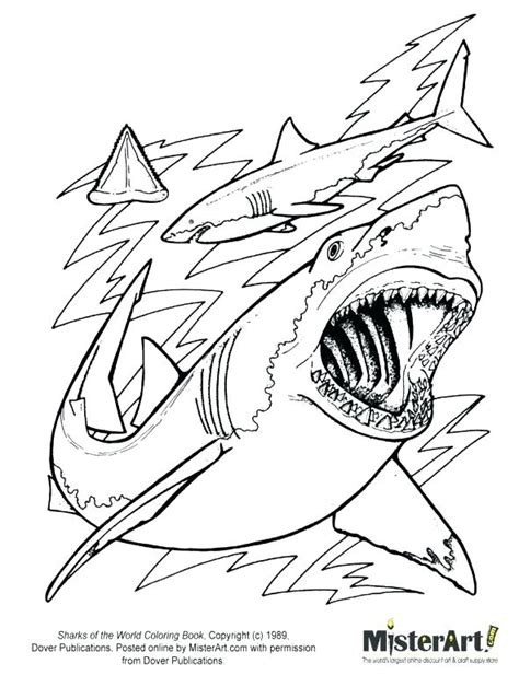 Tiger Shark Coloring Pages At Getcolorings Com Free Printable