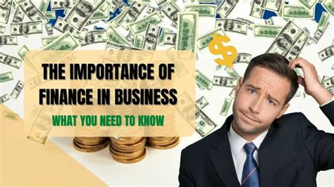The Importance Of Finance In Business All You Need To Know