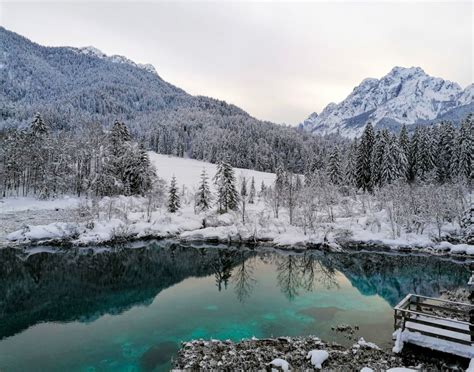Photos Zelenci Nature Reserve Covered In Snow In Winter Travel Slovenia