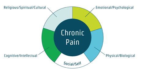 Pain Primer For Those In Pain Find Rehab Centers Based On Your Needs