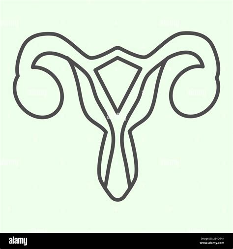 female reproductive organ thin line icon woman uterus outline style pictogram on white