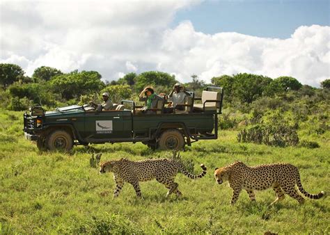 Kwandwe Game Reserve South Africa Tailor Made Trips Audley Travel Uk