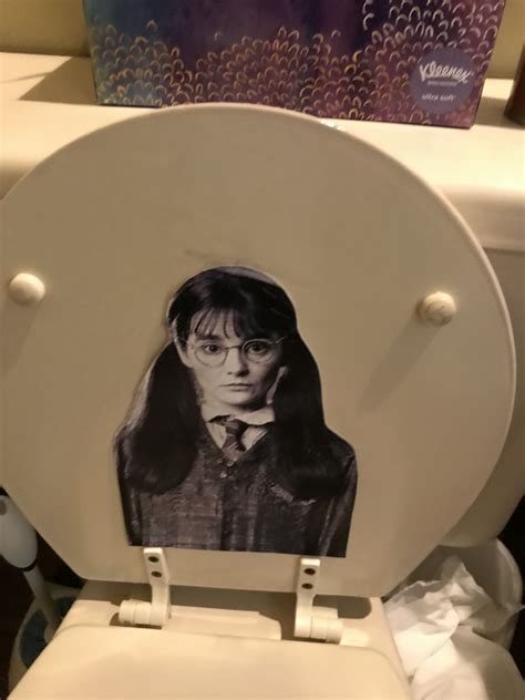 Harry Potter Party Moaning Myrtle On Toilet Festa Harry Potter Decora O Festa Harry Potter