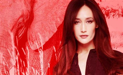 Maggie Q Wildaid