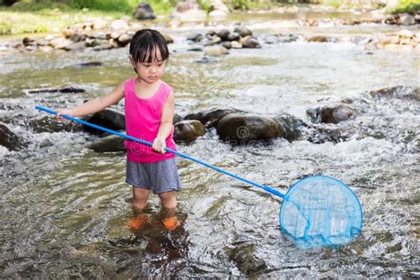 Asian Chinese Little Girl Catching Fish With Fishing Net Stock Image