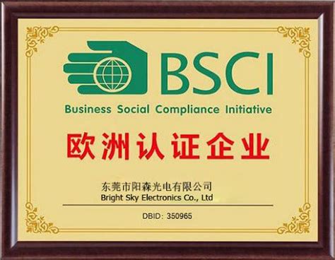 Bsci Audit The Ultimate Faq Guide Bansar China