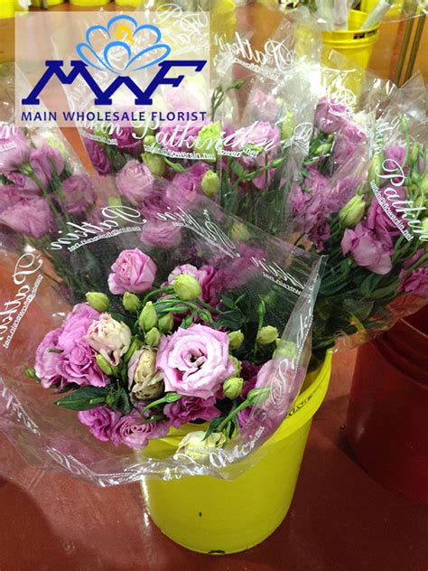 Maybe you would like to learn more about one of these? Main Wholesale Florist - Take a Look in Our Cooler!