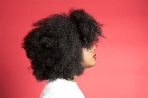 Nappy Afro Hairstyles For Women