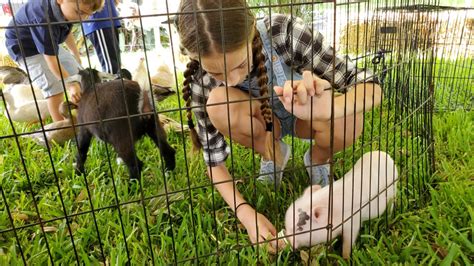 It is a controversial practice opposed by many animal rights advocates and has been banned in at least one. Petting Zoo Miami - Miami Petting Zoo Rental | Kids Party ...